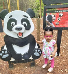 family at the zoo